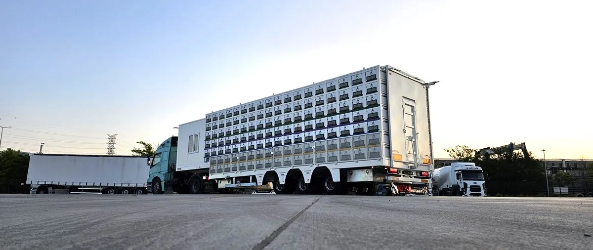 ANIMAL TRANSPORT TRAILERS